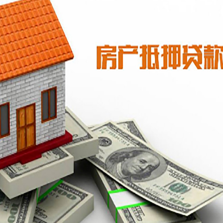 嘉禾贷款公司新渝启服怎么选择