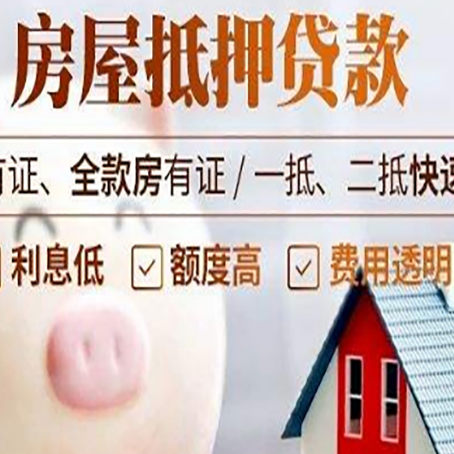 嘉禾贷款助贷公司新渝启服靠谱公司